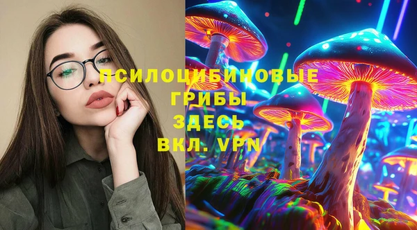 прущая мука Надым