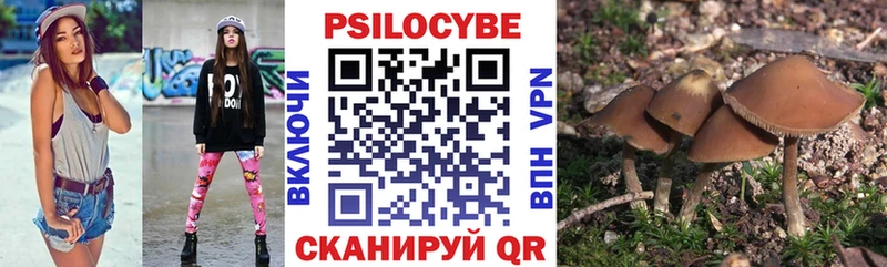 Галлюциногенные грибы прущие грибы  ОМГ ОМГ рабочий сайт  Заволжск 